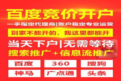 SEO与SEM优化案例：打造行业领先品牌